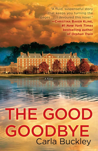 The Good Goodbye A Novel
