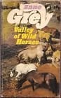 Valley Wild Horses