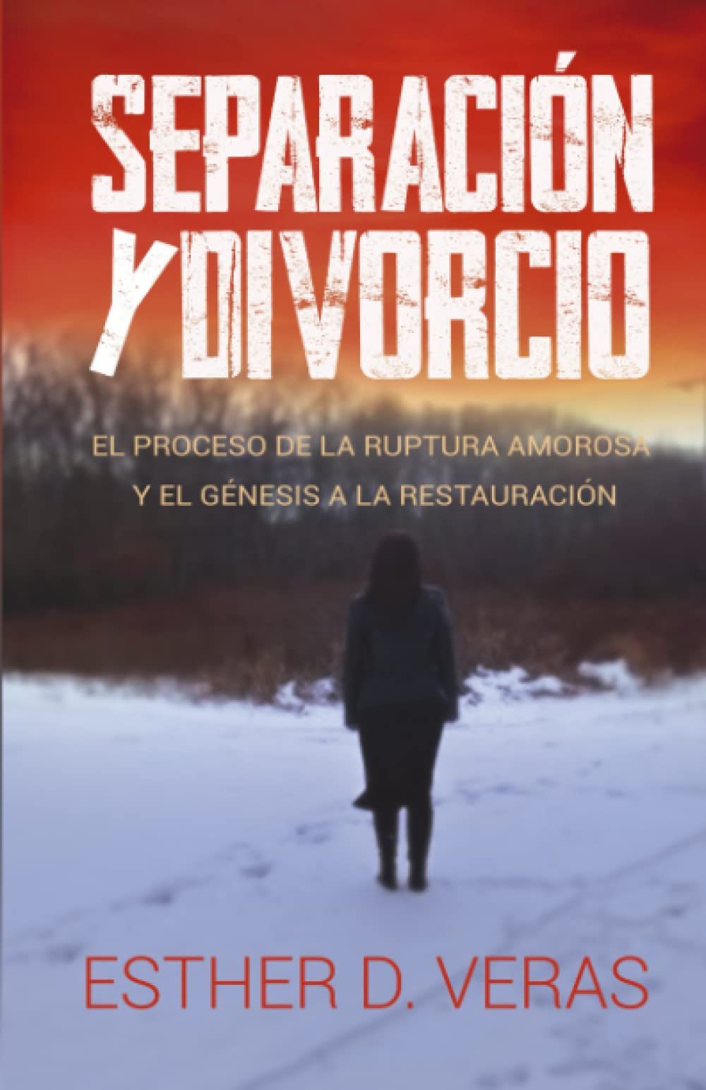 Separacion y divorcio: El proceso de la ruptura amorosa y el génesis de la restauracion. (Spanish Edition) - 473