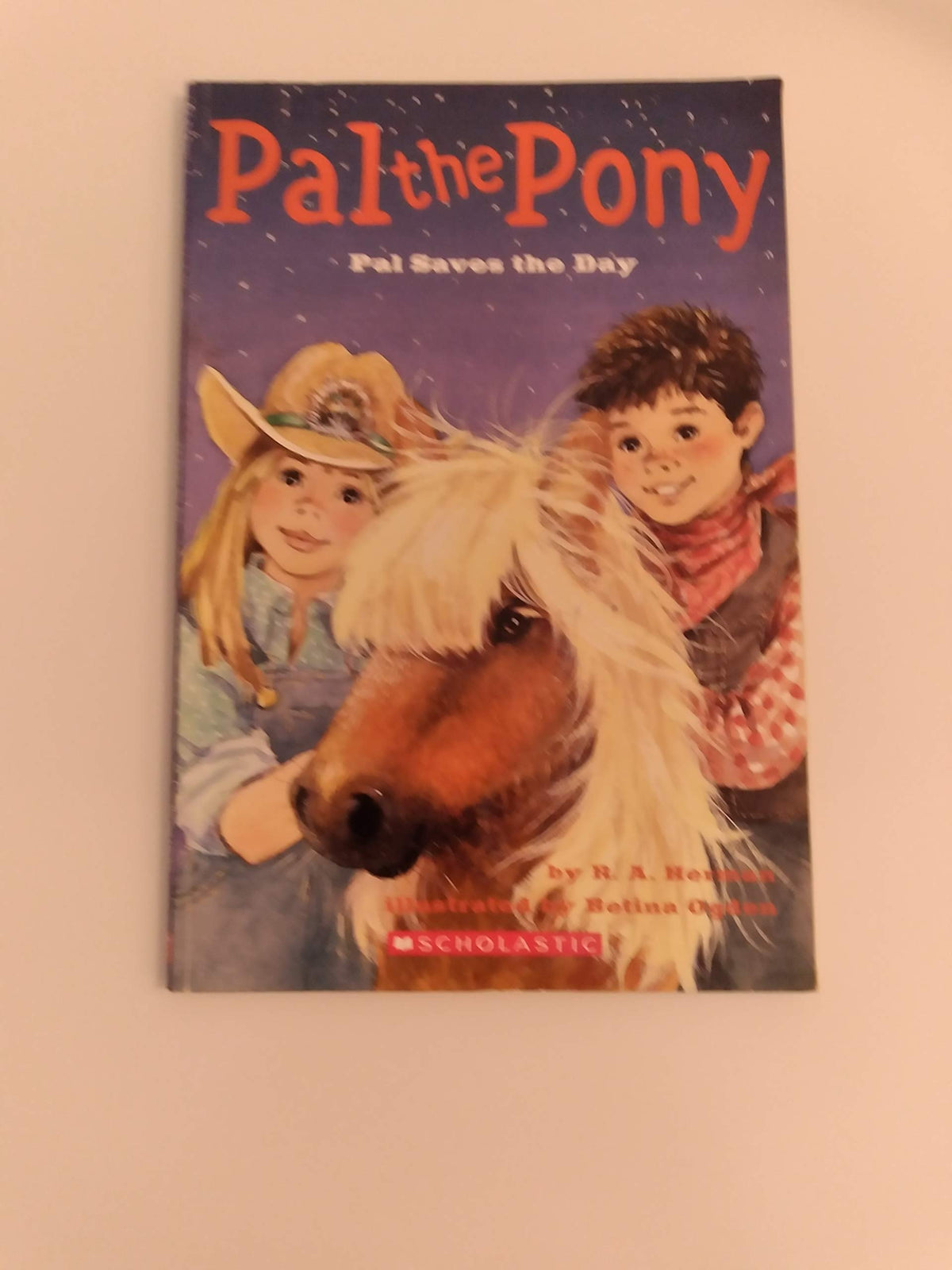 Pal Saves the Day (Pal the Pony)