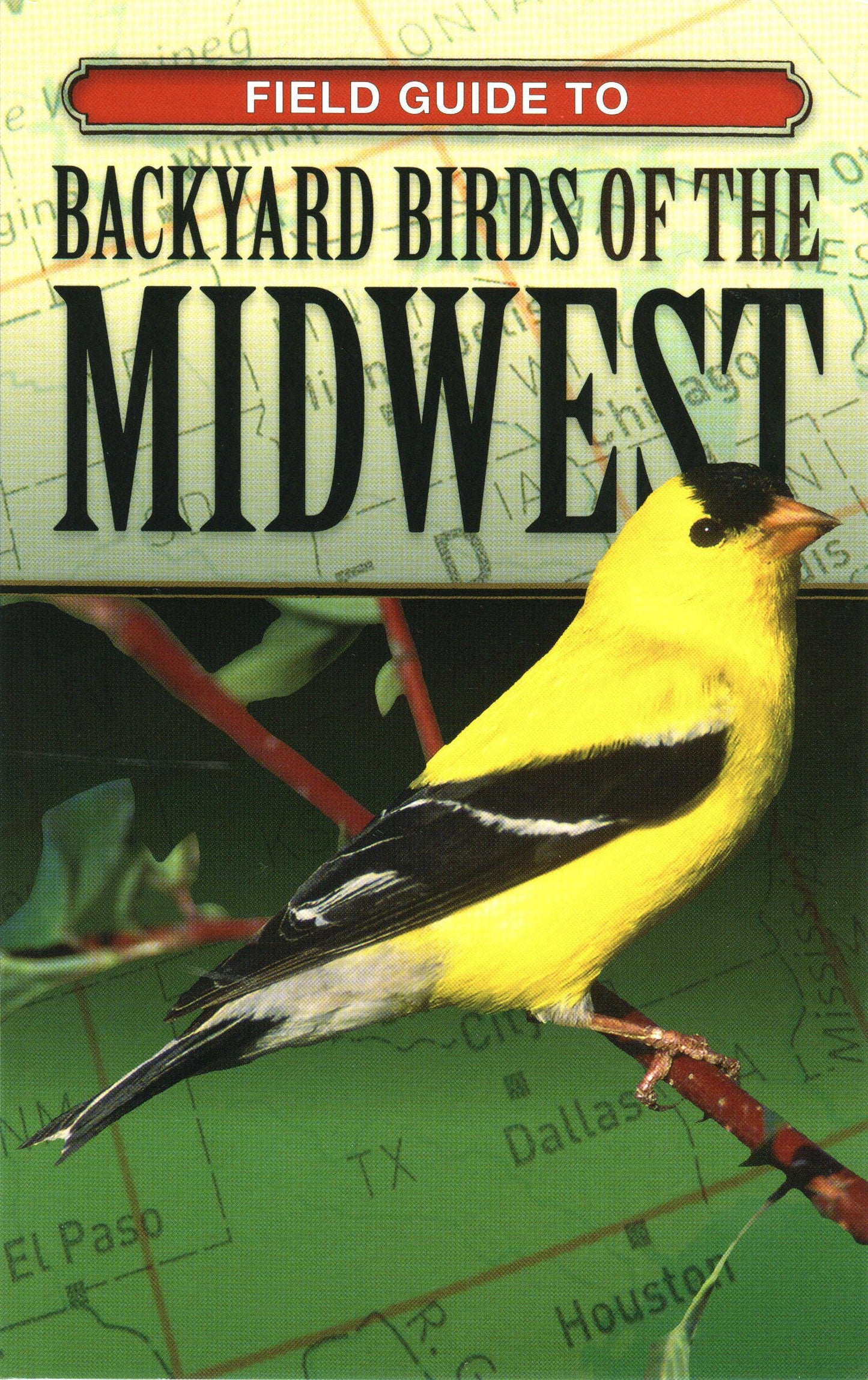 Field Guide To Backyard Birds Of The Midwest