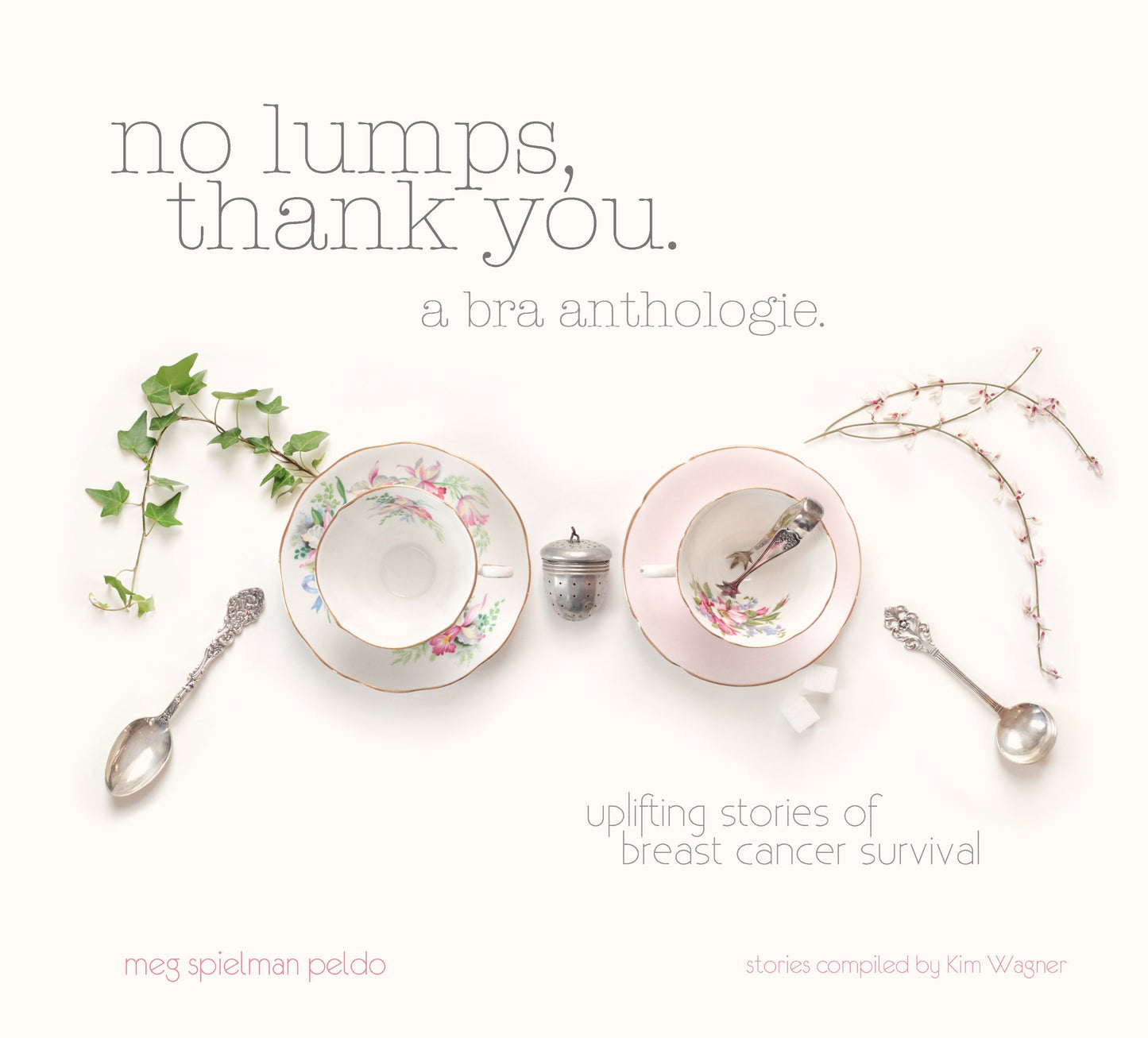No Lumps, Thank You.: A Bra Anthologie. Special Edition with Stories of Breast Cancer Survival by Meg Spielman Peldo (2012-05-03) - 235