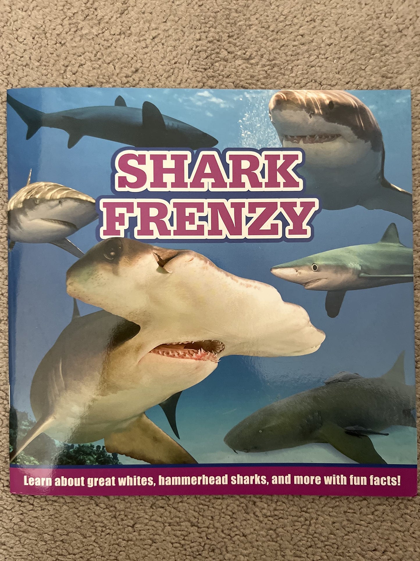 Shark Frenzy - Learn About Great Whites, Hammerheads, Goblin Sharks and More with Fun Facts
