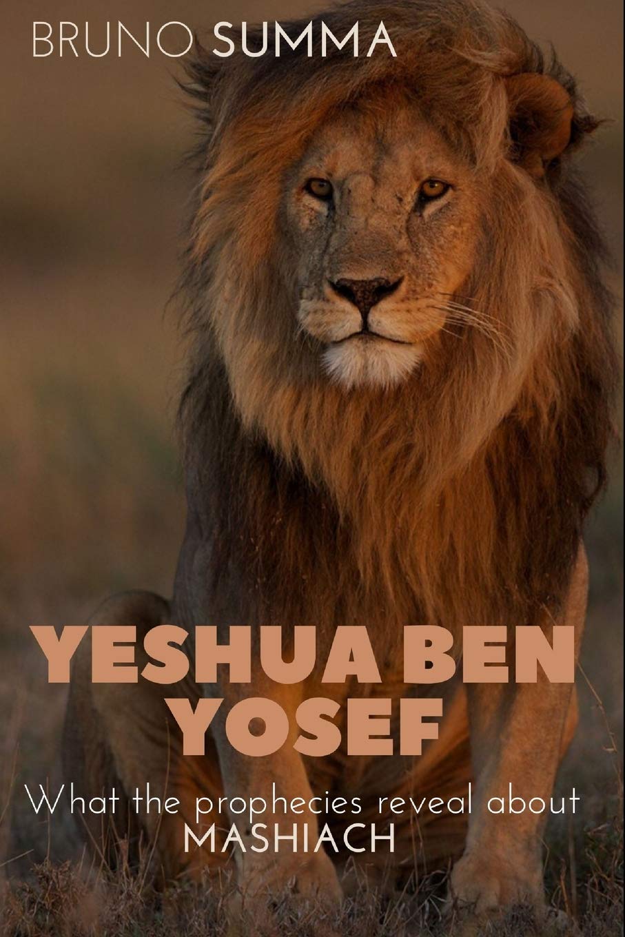 YESHUA BEN YOSEF: What the prophecies reveal about MASHIACH - 5129