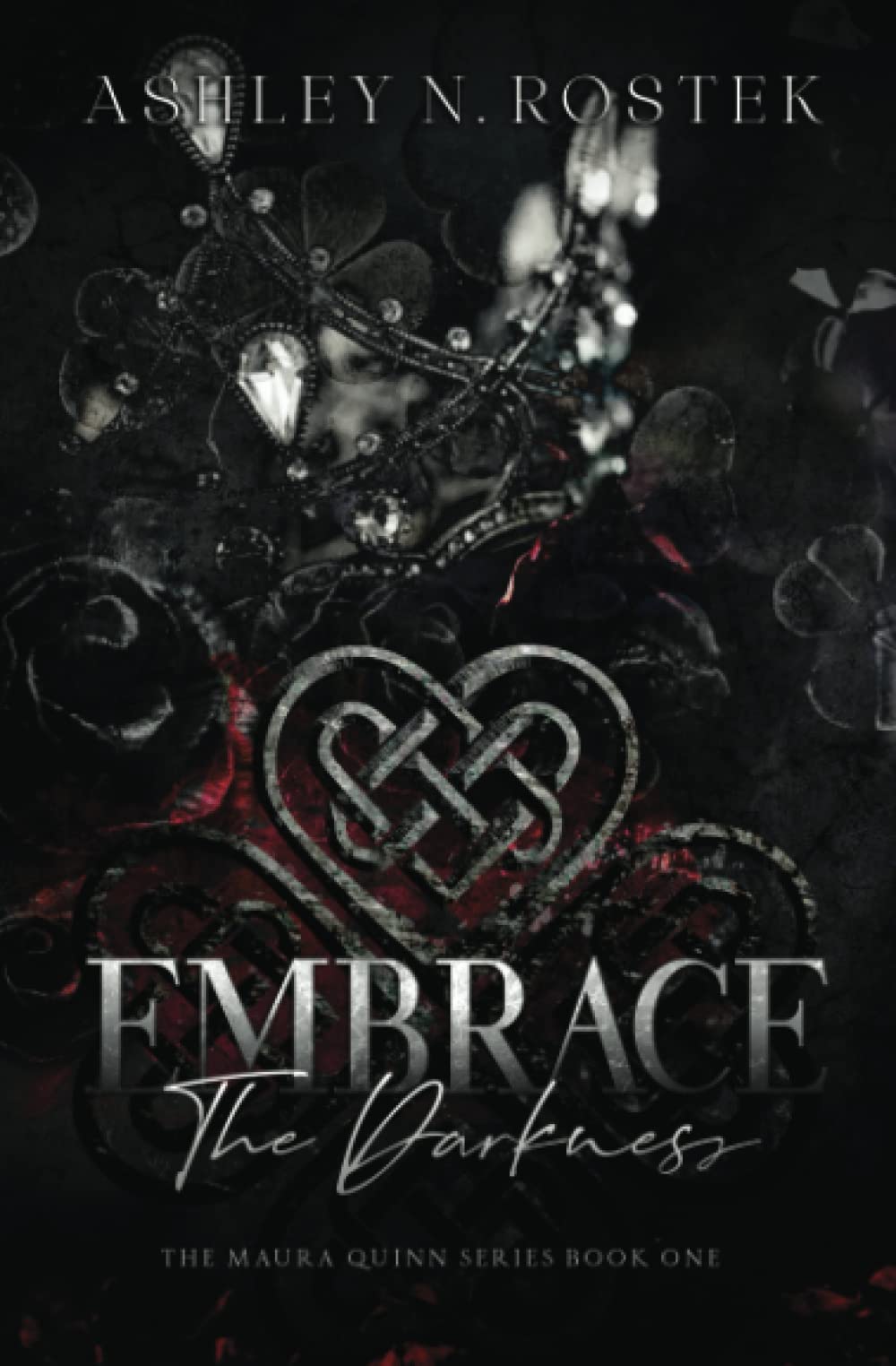 Embrace the Darkness (The Maura Quinn Series)