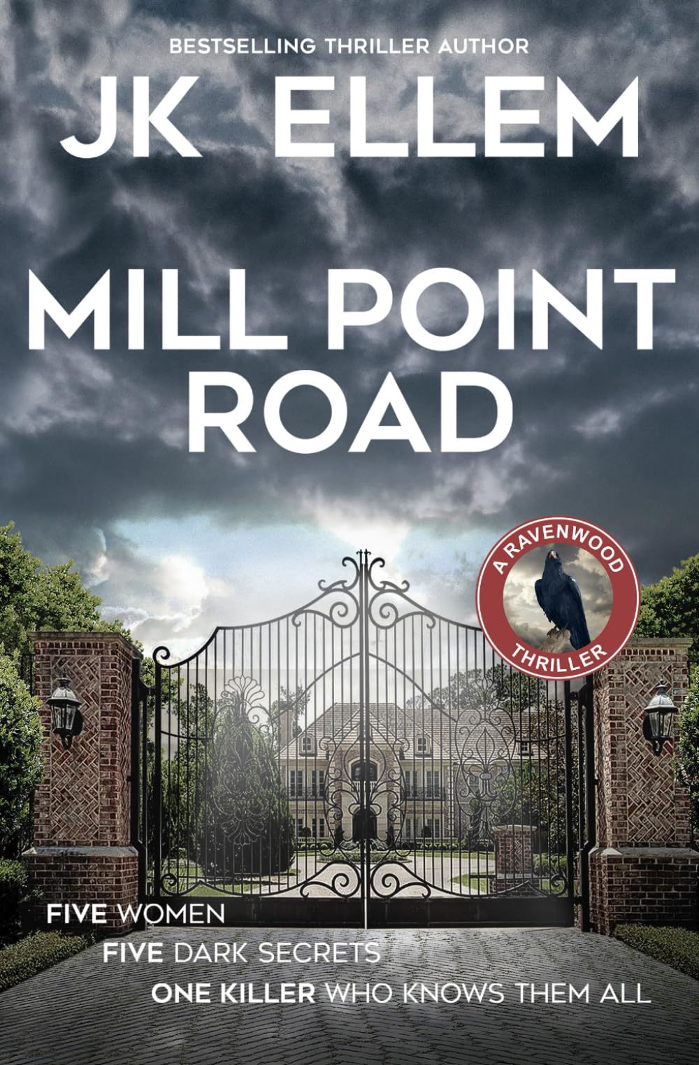 Mill Point Road: A serial killer domestic thriller (The Ravenwood Domestic Thriller Series)