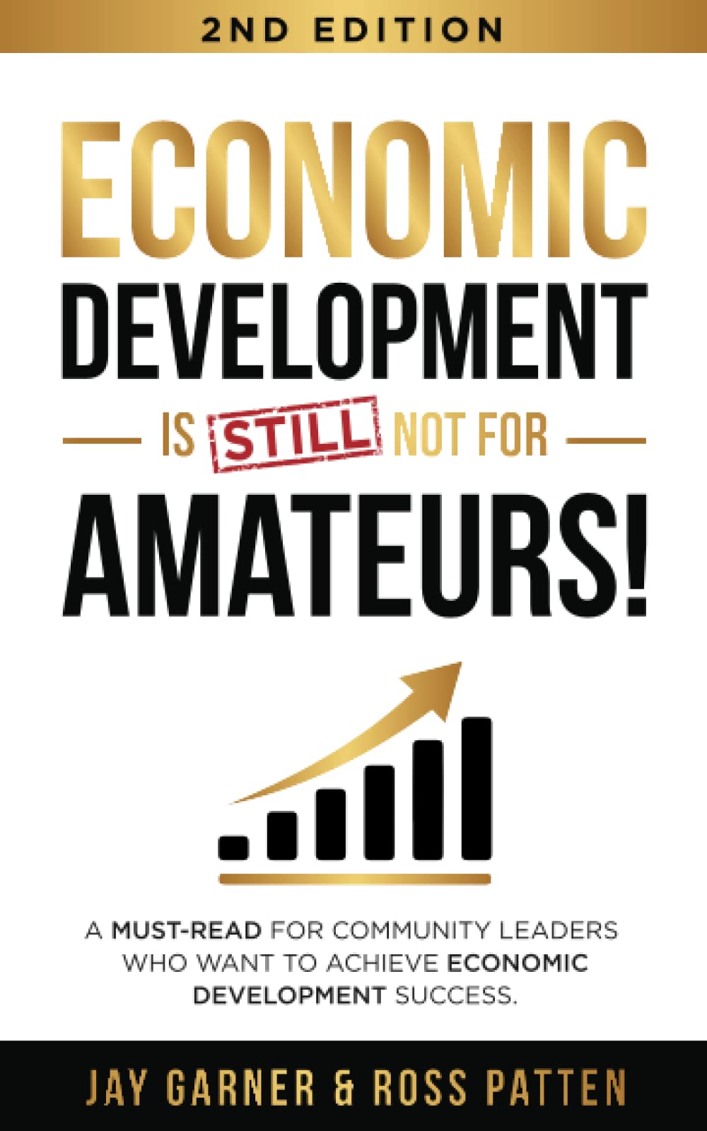 Economic Development Is Not for Amateurs!: A must-read for community leaders on how to achieve economic development success