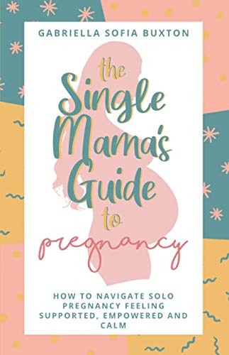 The Single Mama's Guide To Pregnancy: How To Navigate Solo Pregnancy Feeling Supported, Empowered and Calm