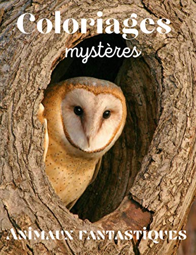 Coloriages mystères Animaux fantastiques: Coloriage Anti-Stress (French Edition) - 1416
