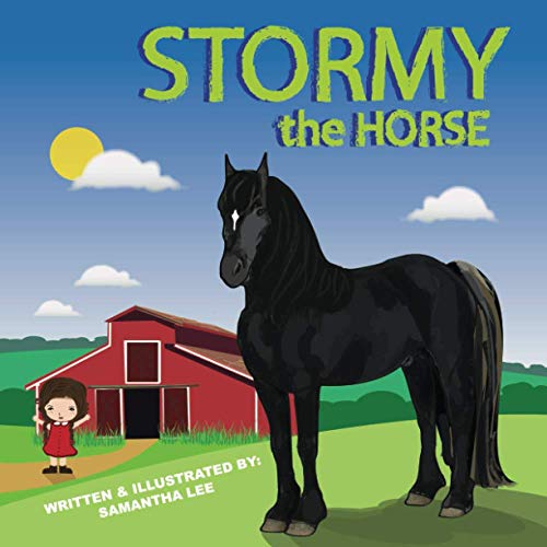 Stormy the Horse - 3678