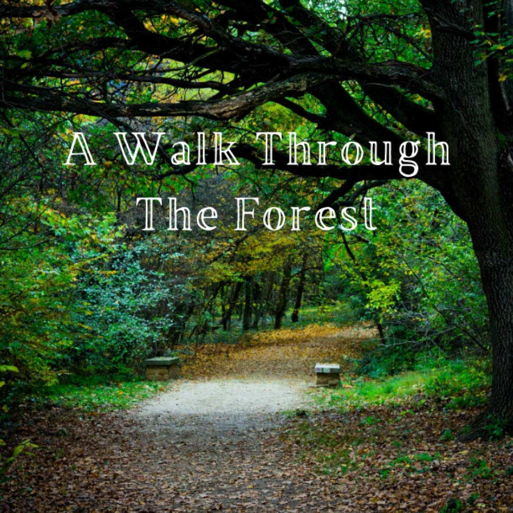 A Walk Through the Forest: A Beautiful Nature Picture Book for Seniors With Alzheimer’s or Dementia. This Makes a Wonderful Gift for an Elderly Parent or Grandparent.