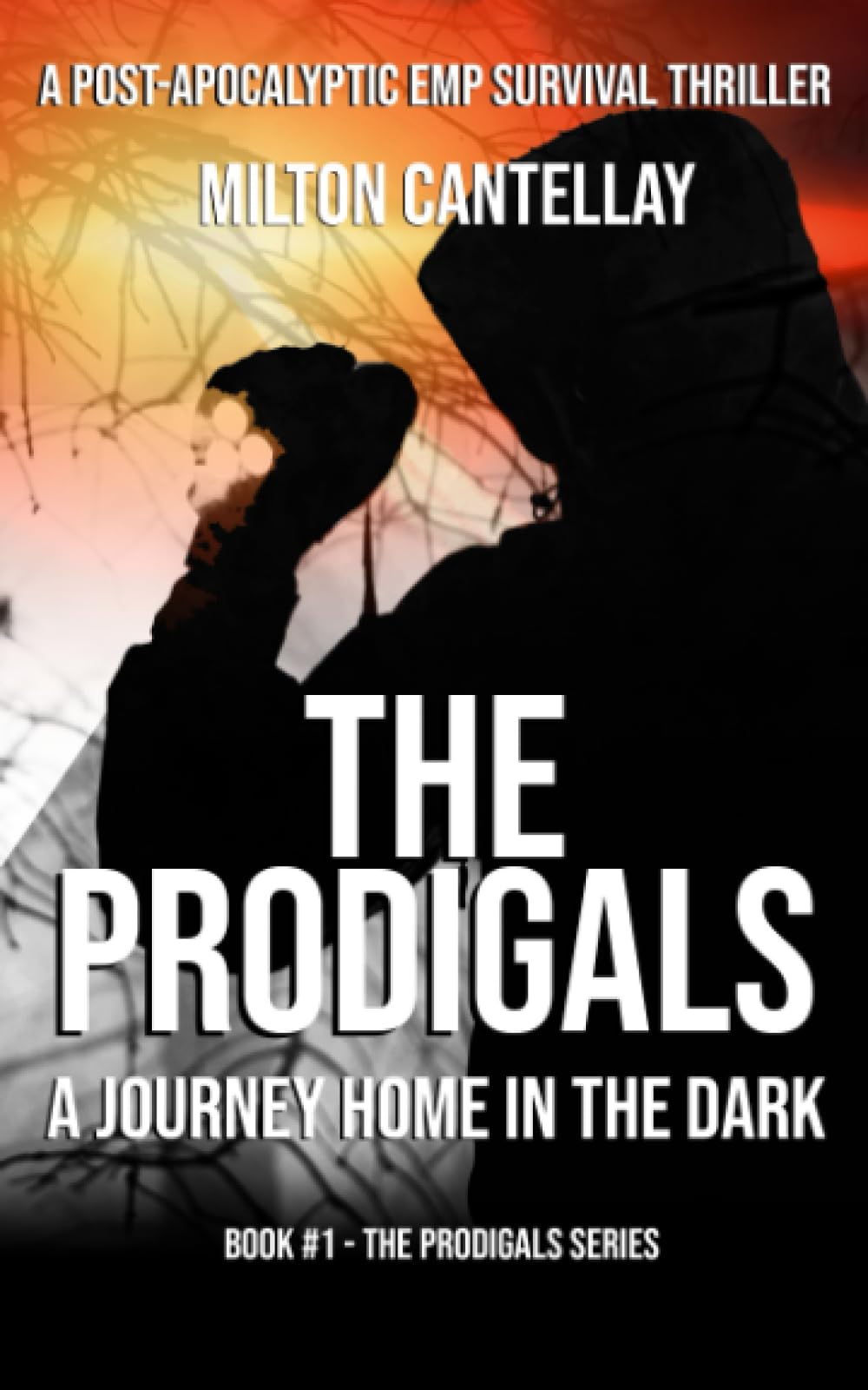 The Prodigals: A Journey Home in the Dark (The Prodigals - An EMP Apocalyptic Fiction Series)