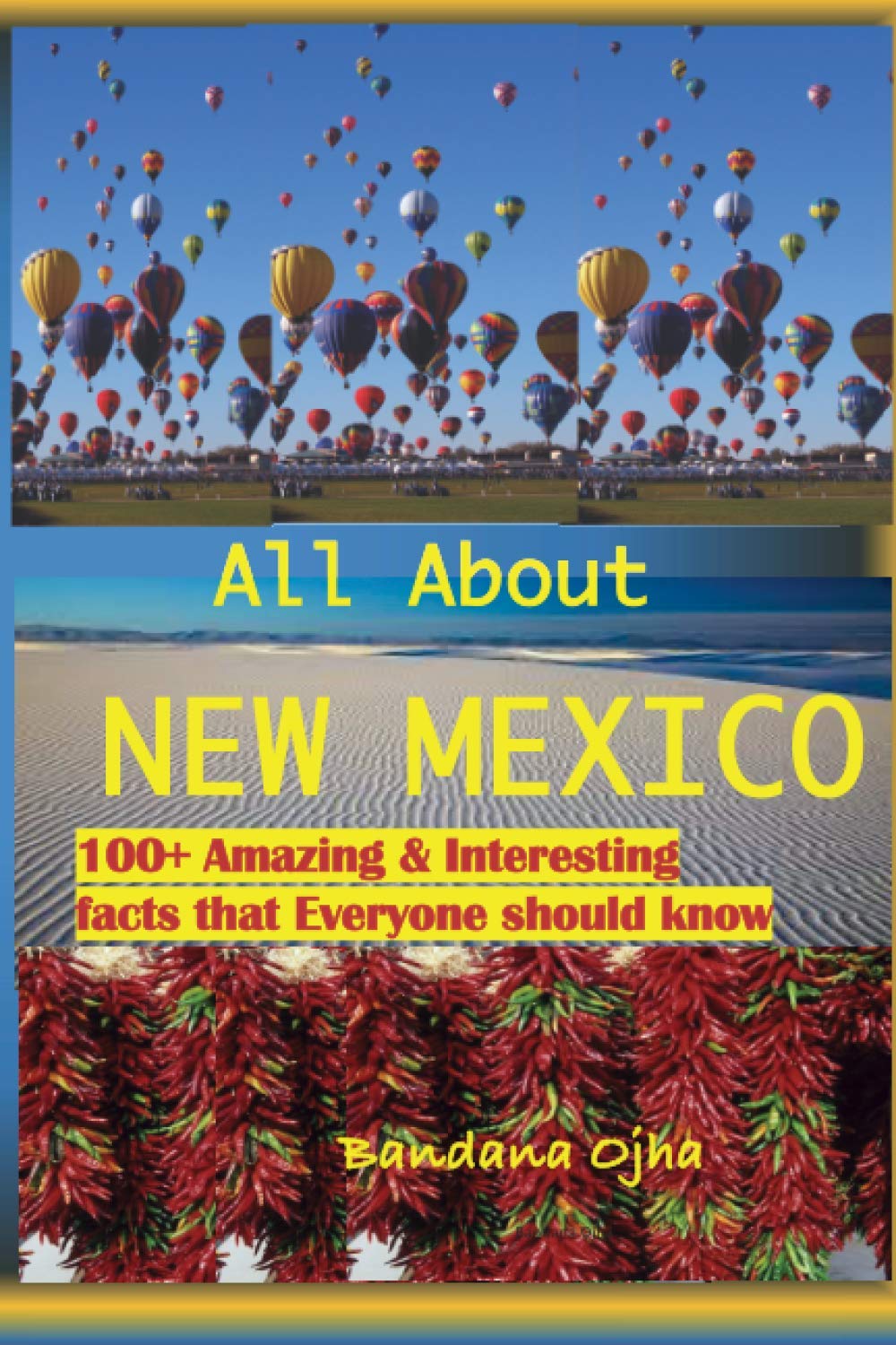 ALL ABOUT NEW MEXICO: Amazing & Interesting Facts that Everyone Should Know!
