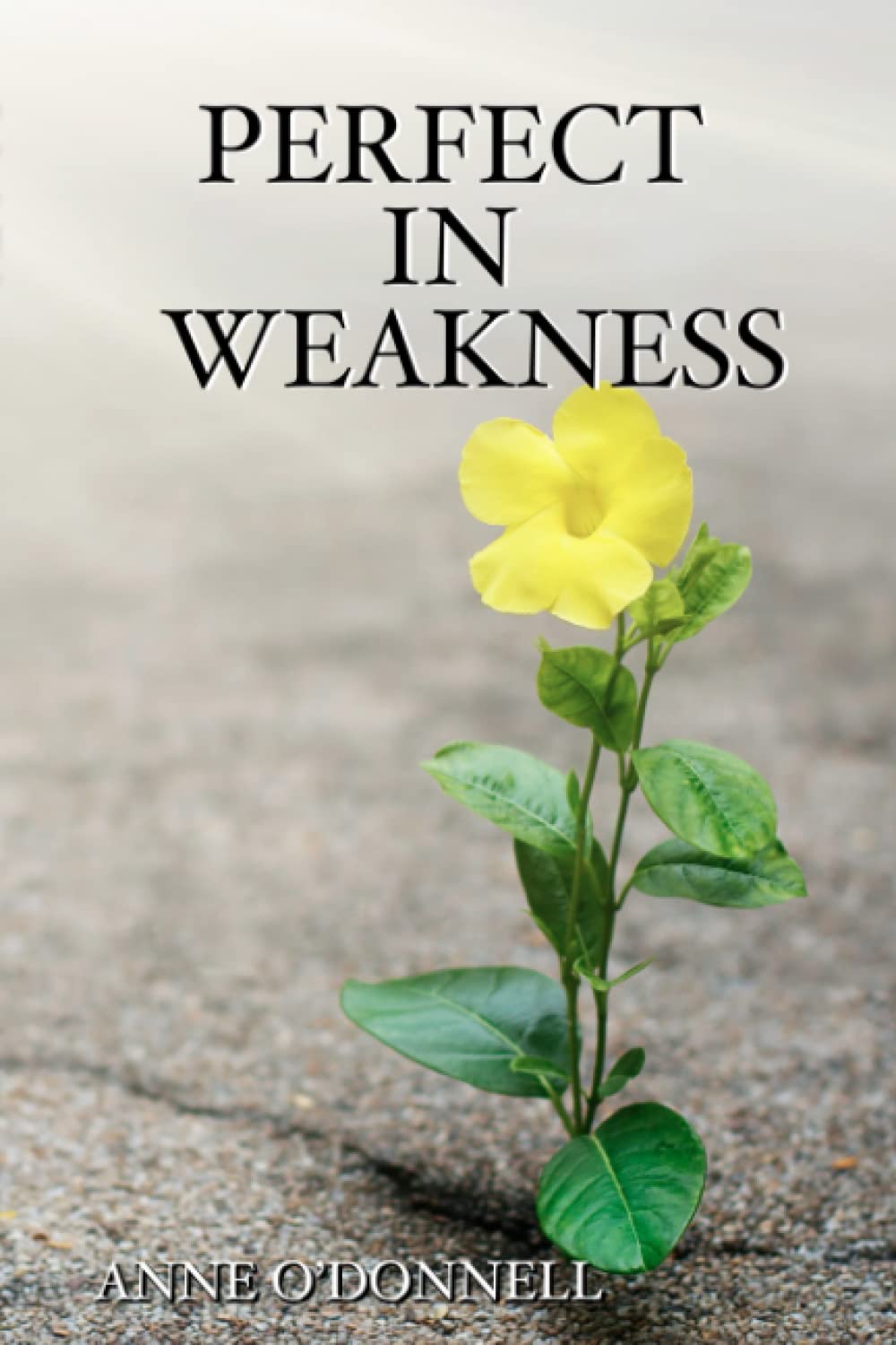 Perfect in Weakness: Living on Two Trajectories; One leading to Defeat, the Other to Fulfillment