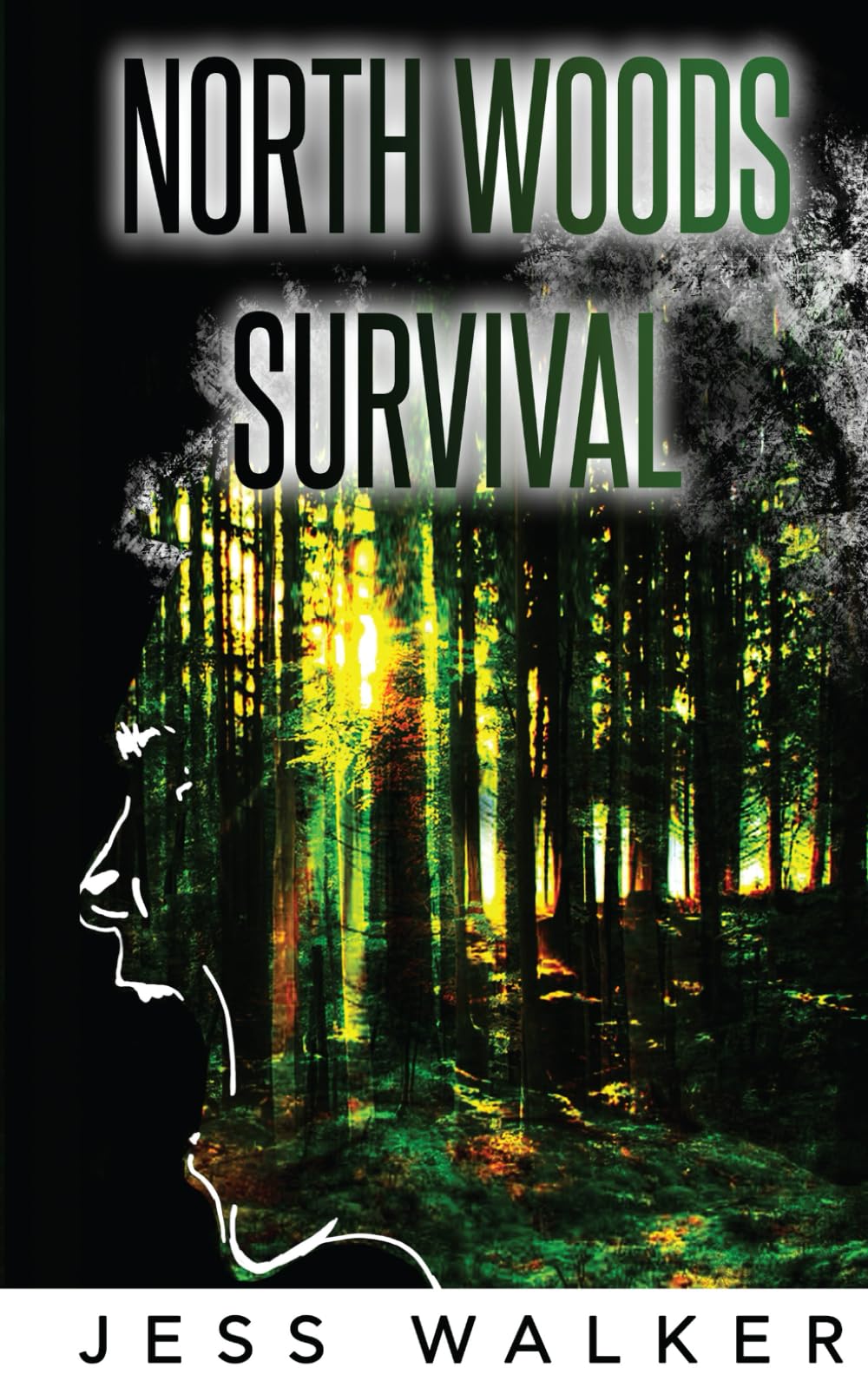 North Woods Survival: A Wilderness Adventure Thriller (North Woods Survival Series)
