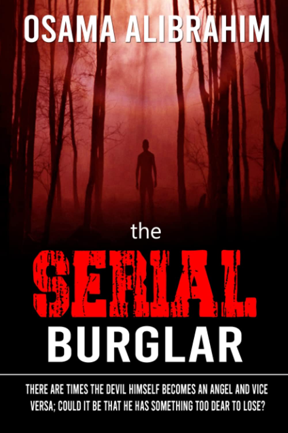 The serial burglar: There are times the devil himself becomes an angel and vice versa; could it be that he has something too dear to lose?