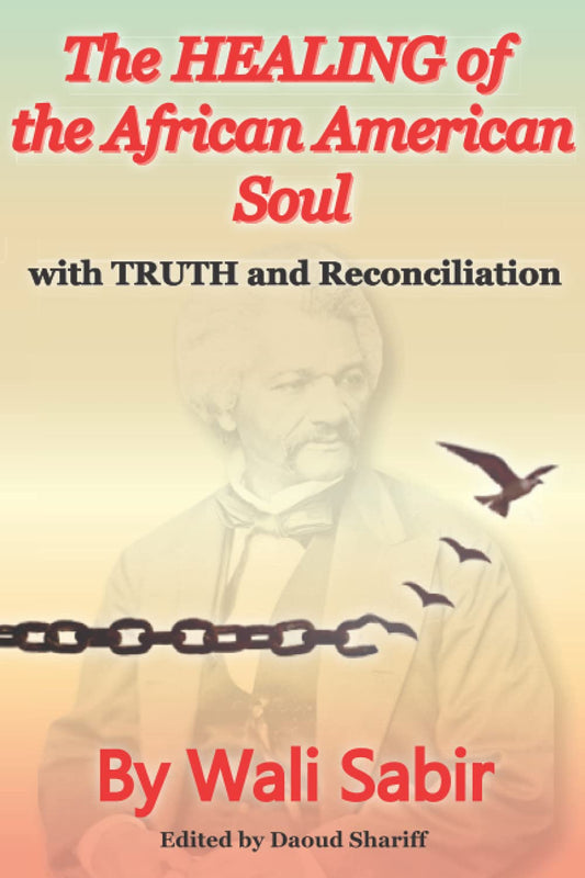 The Healing of the African American Soul: with Truth and Recinciliation - 733