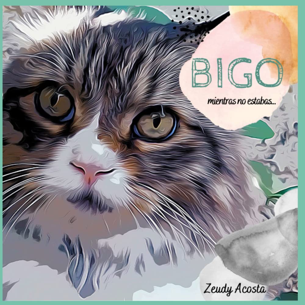 BIGO: Mientras no estabas (Spanish Edition)