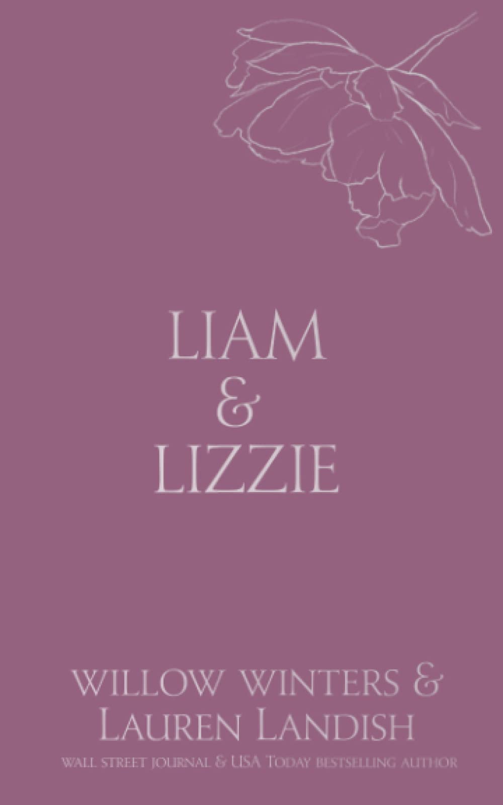 Liam & Lizzie: Tempted (Discreet Series) - 42
