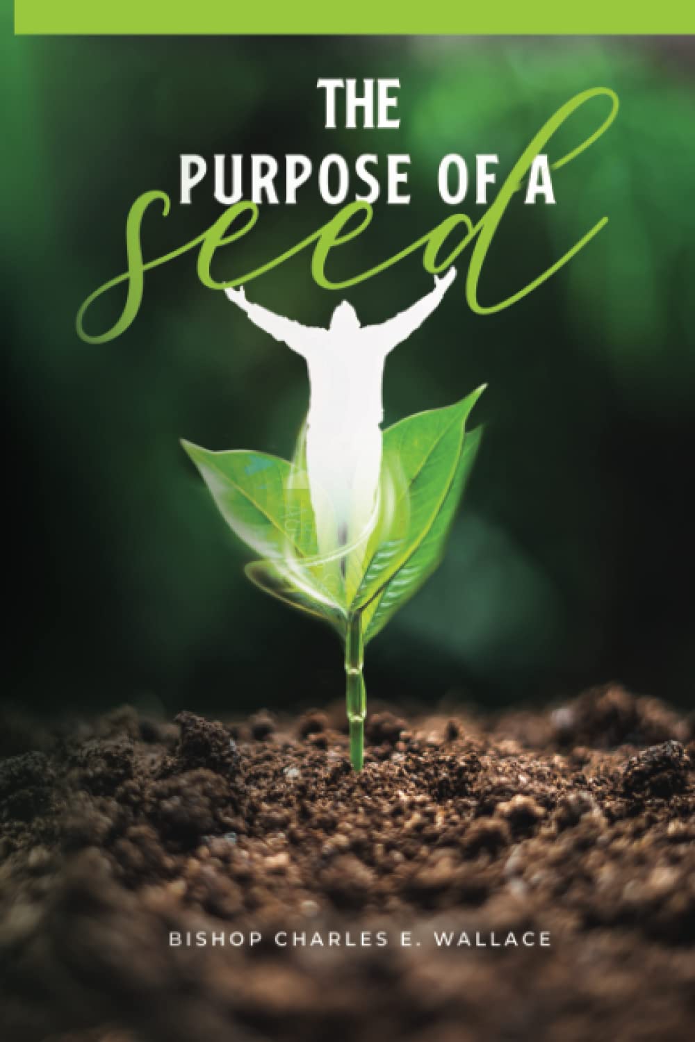 The Purpose of A Seed: Get Planted - 8221