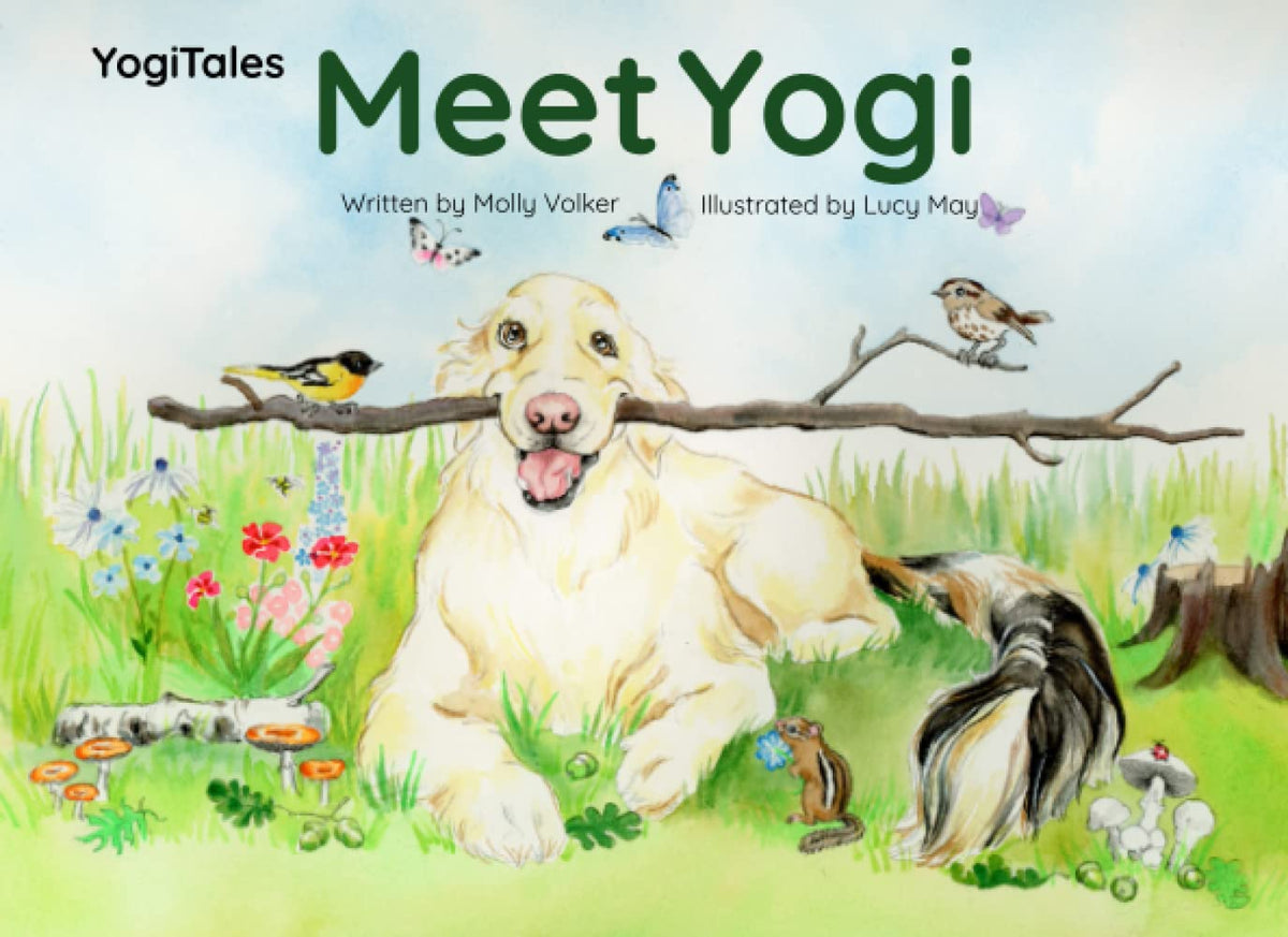 Meet Yogi (YogiTales)