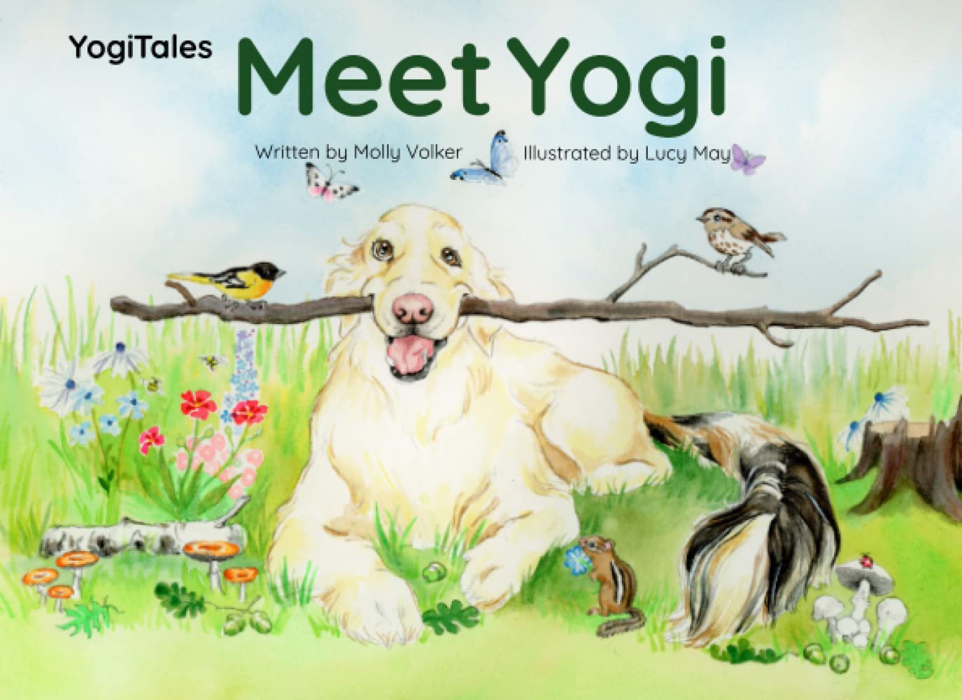 Meet Yogi (YogiTales)