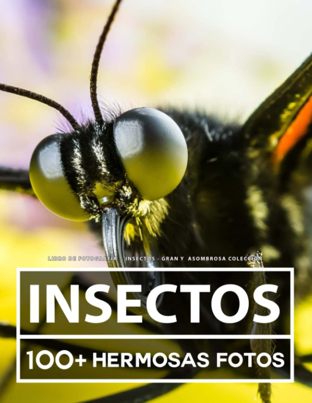 Libro De Fotografía - Insectos - Gran y Asombrosa Colección: 100 Hermosas Fotos En Este Fantástico Libro De Fotos De Insectos - Para Niños y Adultos (Spanish Edition)
