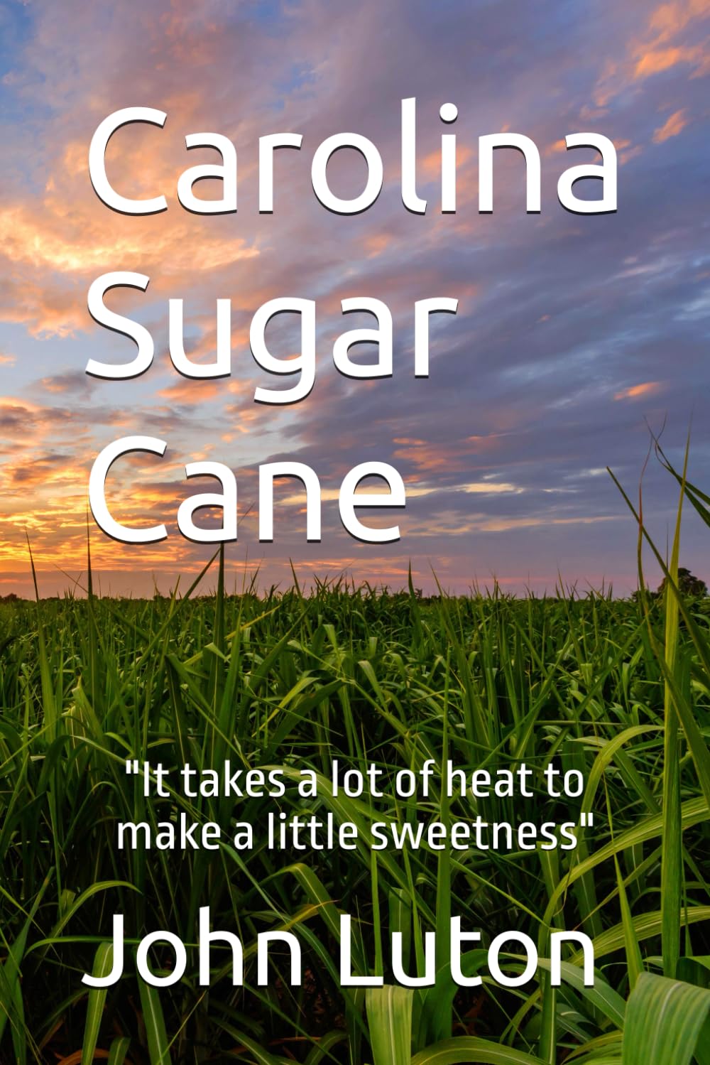 Carolina Sugar Cane: "It takes a lot of heat to make a little sweetness"