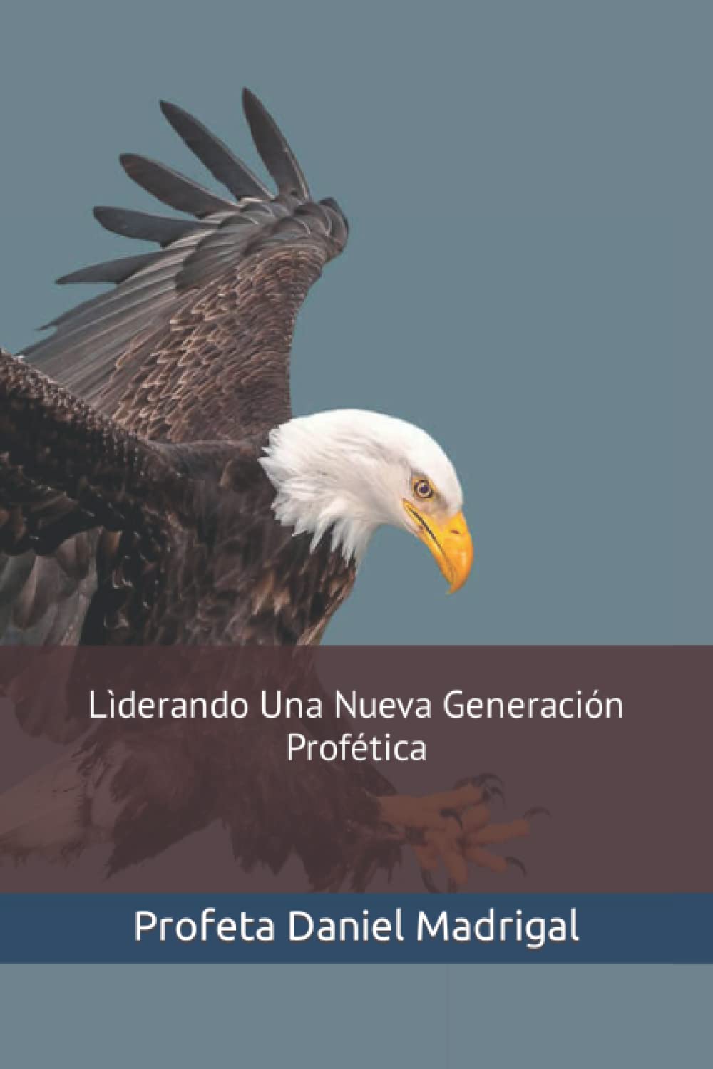 Lìderando Una Nueva Generación Profética: Capacitación Del Caràcter De Lìderes (Spanish Edition)