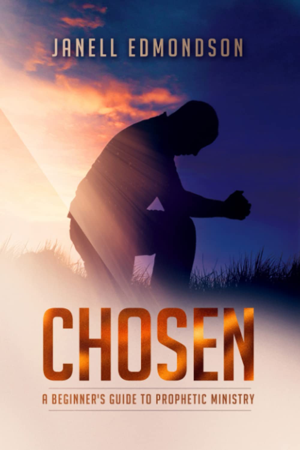 Chosen: A Beginner's Guide to Prophetic Ministry - 3703