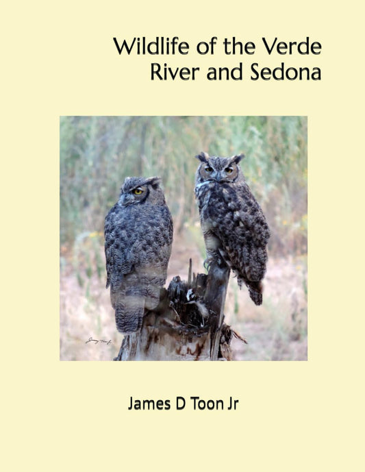 Wildlife of the Verde River and Sedona - 9436