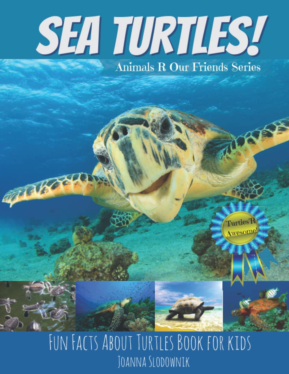 Sea Turtles! Fun Facts about Turtles Book for Kids with Amazing Photos (Ocean and Sea Life Children's Books) - 9645