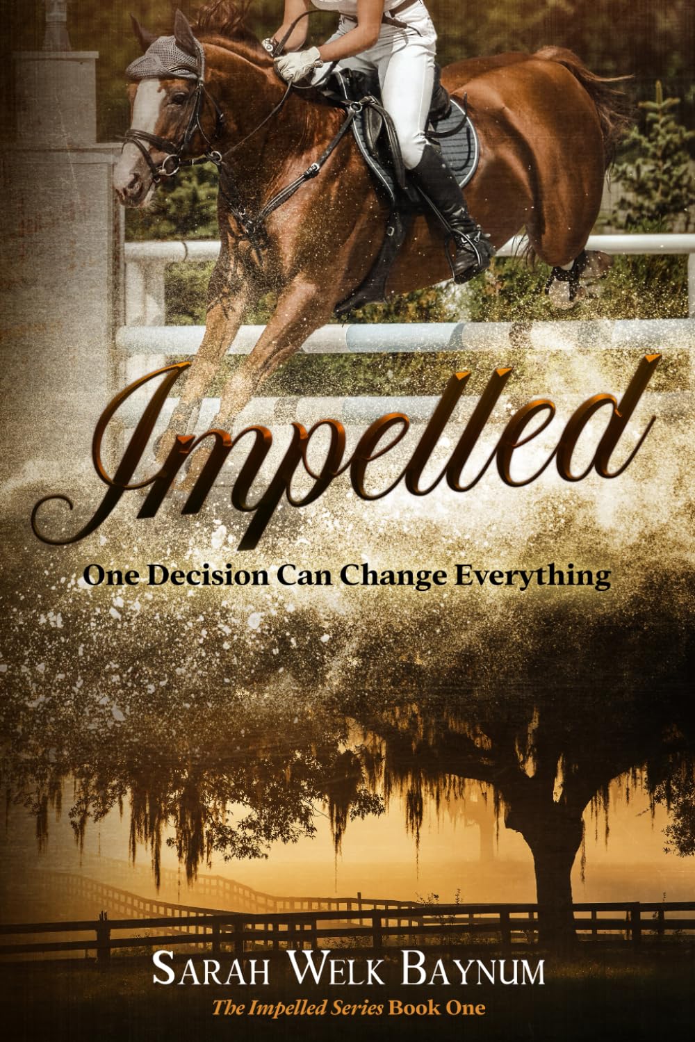 Impelled: An Equestrian Romantic Suspense Series (The Impelled Series)