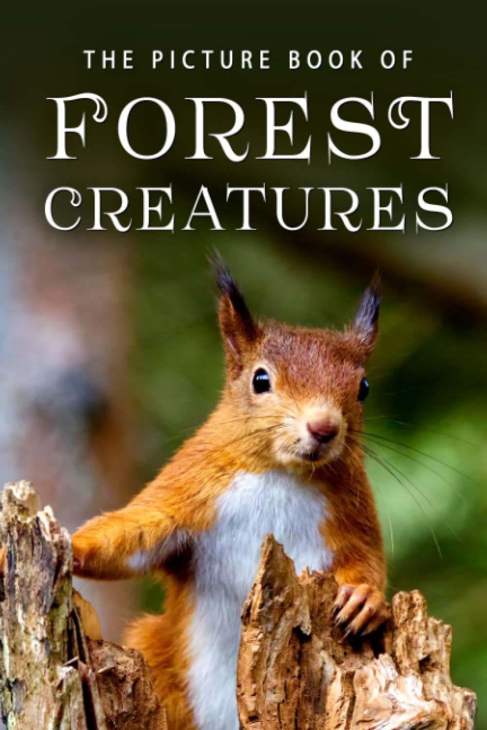 The Picture Book of Forest Creatures (Picture Books - Animals) - 6457