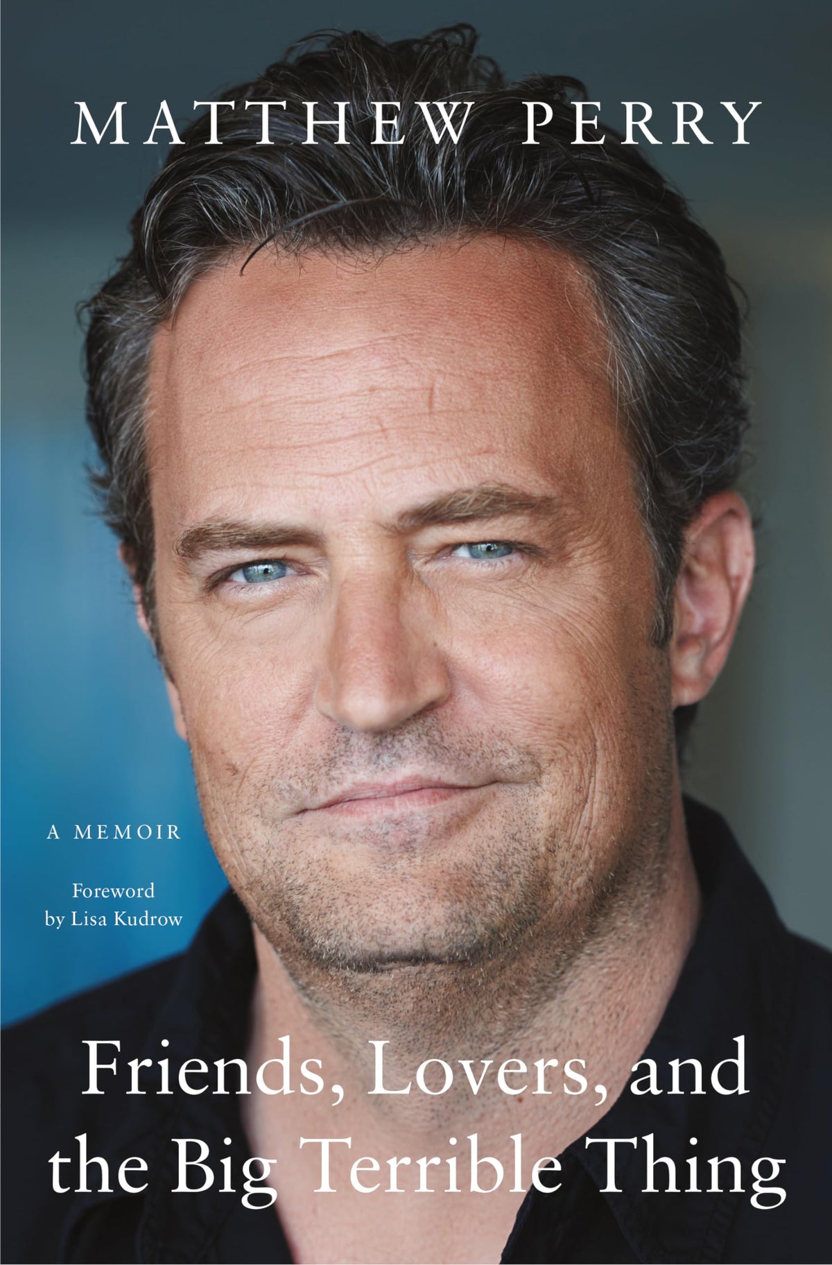 Friends Lovers And The Big Terrible Thing (Thorndike Press Large Print Basic)