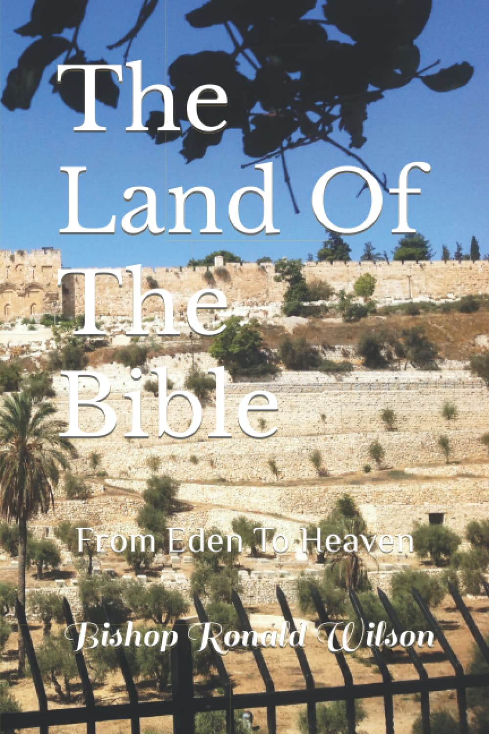 The Land Of The Bible: From Eden To Heaven - 4611