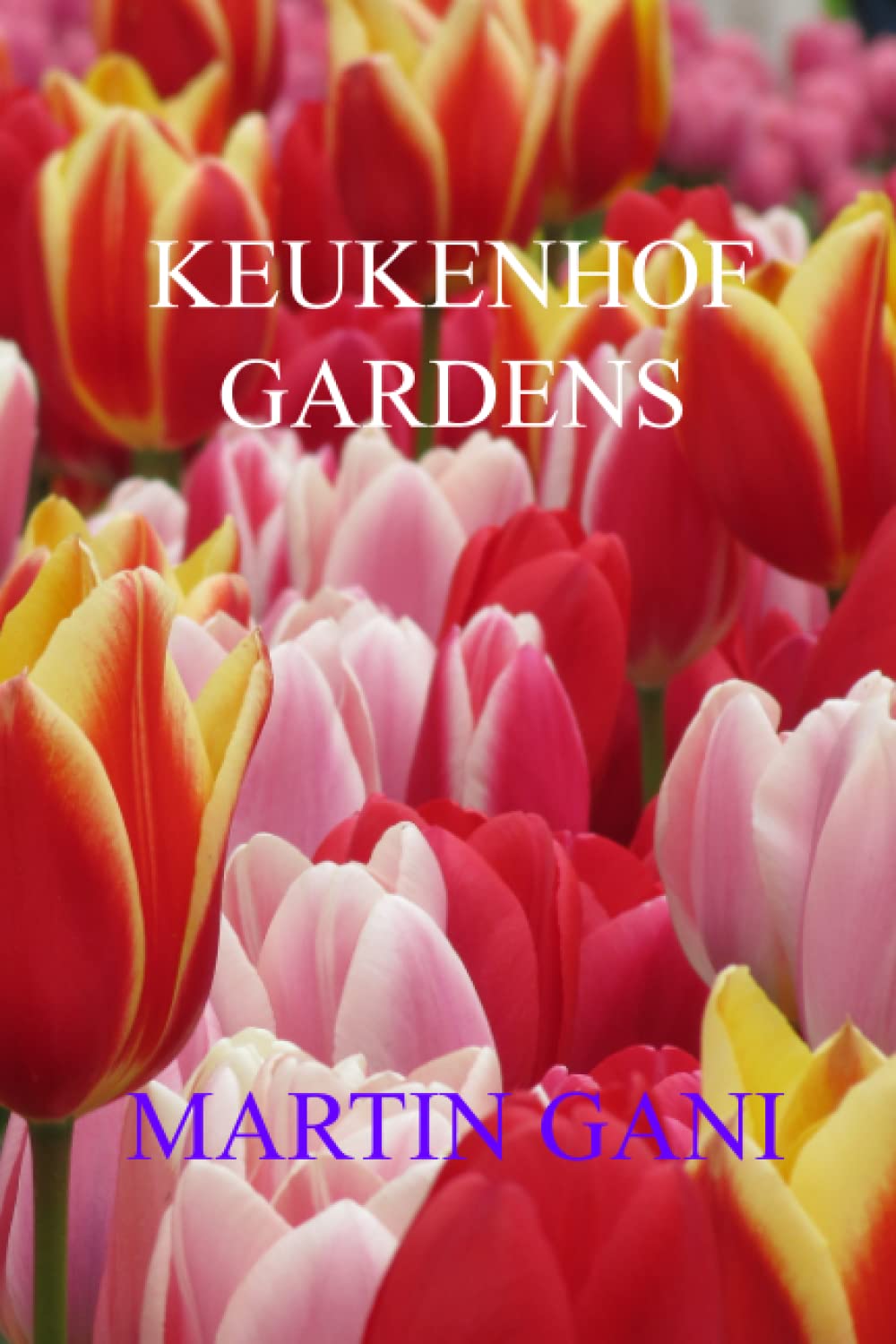 Keukenhof Gardens - 6638