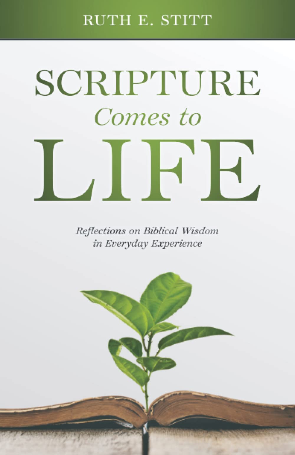 Scripture Comes to Life: Reflections on Biblical Wisdom in Everyday Experience