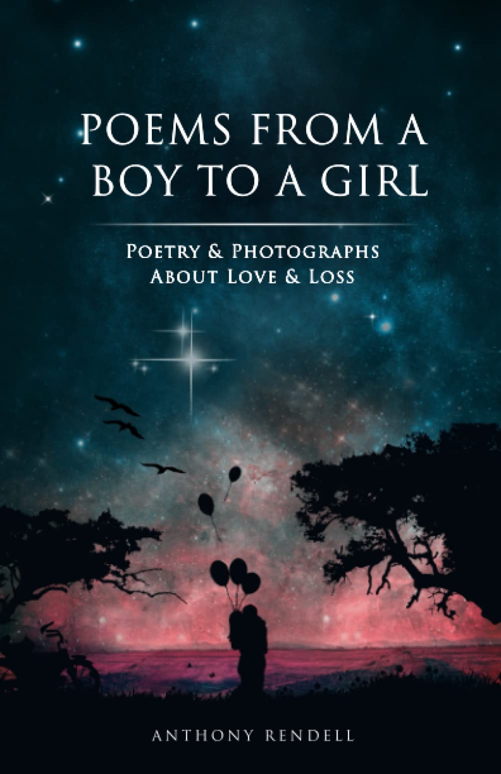 Poems From a Boy to a Girl: Poetry & Photographs about Love & Loss