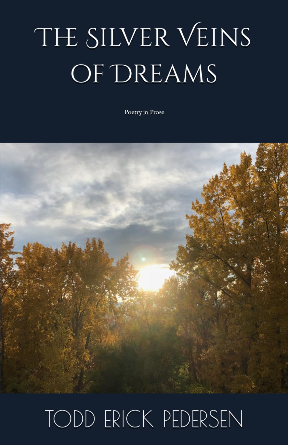 The Silver Veins of Dreams