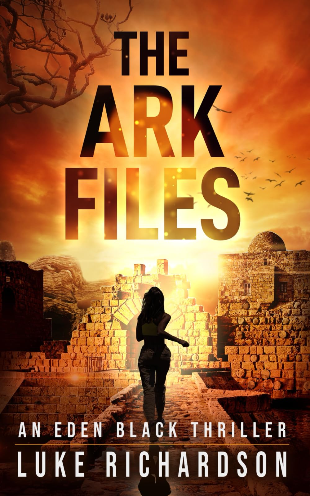 The Ark Files (Eden Black Archaeological Thrillers)