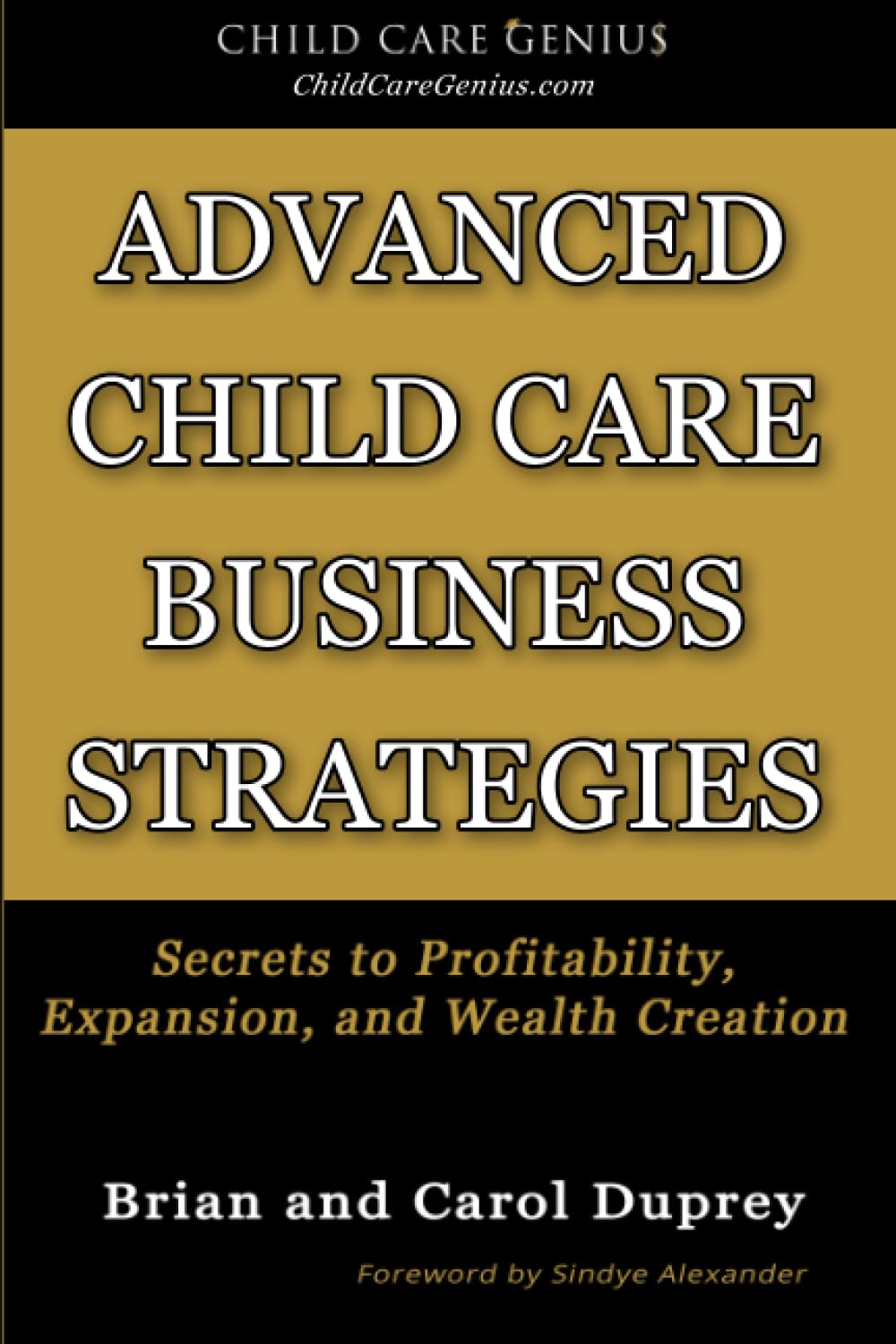 Advanced Child Care Business Strategies: Secrets to Profitability, Expansion, and Wealth Creation