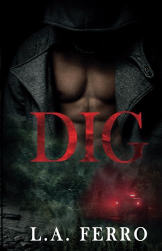 DIG: A Second Chance Romance (Summer Nights) - 7326
