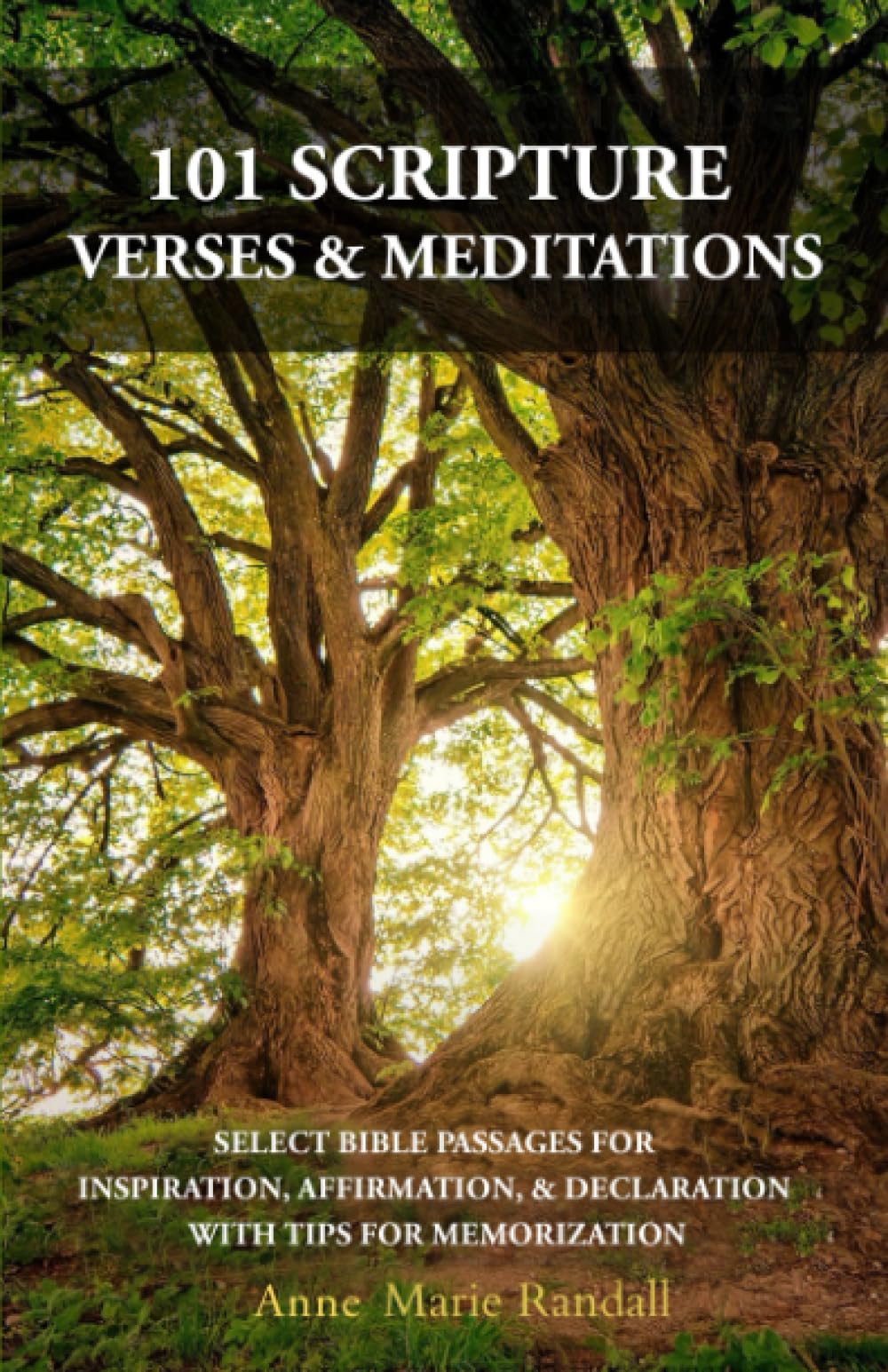 101 SCRIPTURE VERSES & MEDITATIONS: SELECT BIBLE PASSAGES FOR INSPIRATION, AFFIRMATION, & DECLARATION, WITH TIPS FOR MEMORIZATION (Scripture Comes Alive)