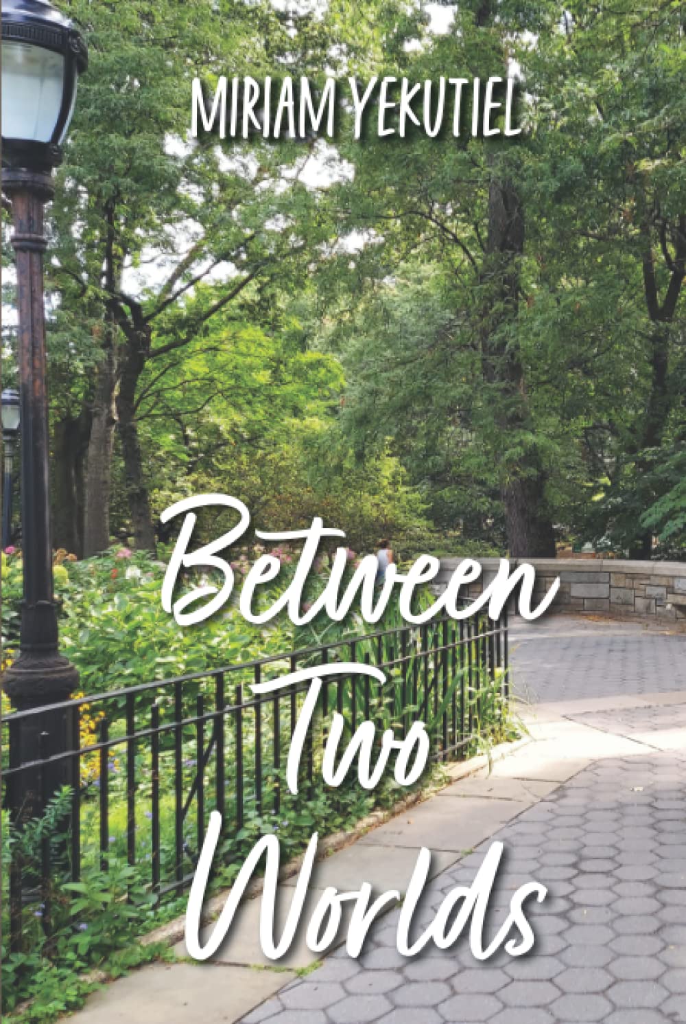 Between Two Worlds: A Year in the Life of Riverside Park, NYC - 4110
