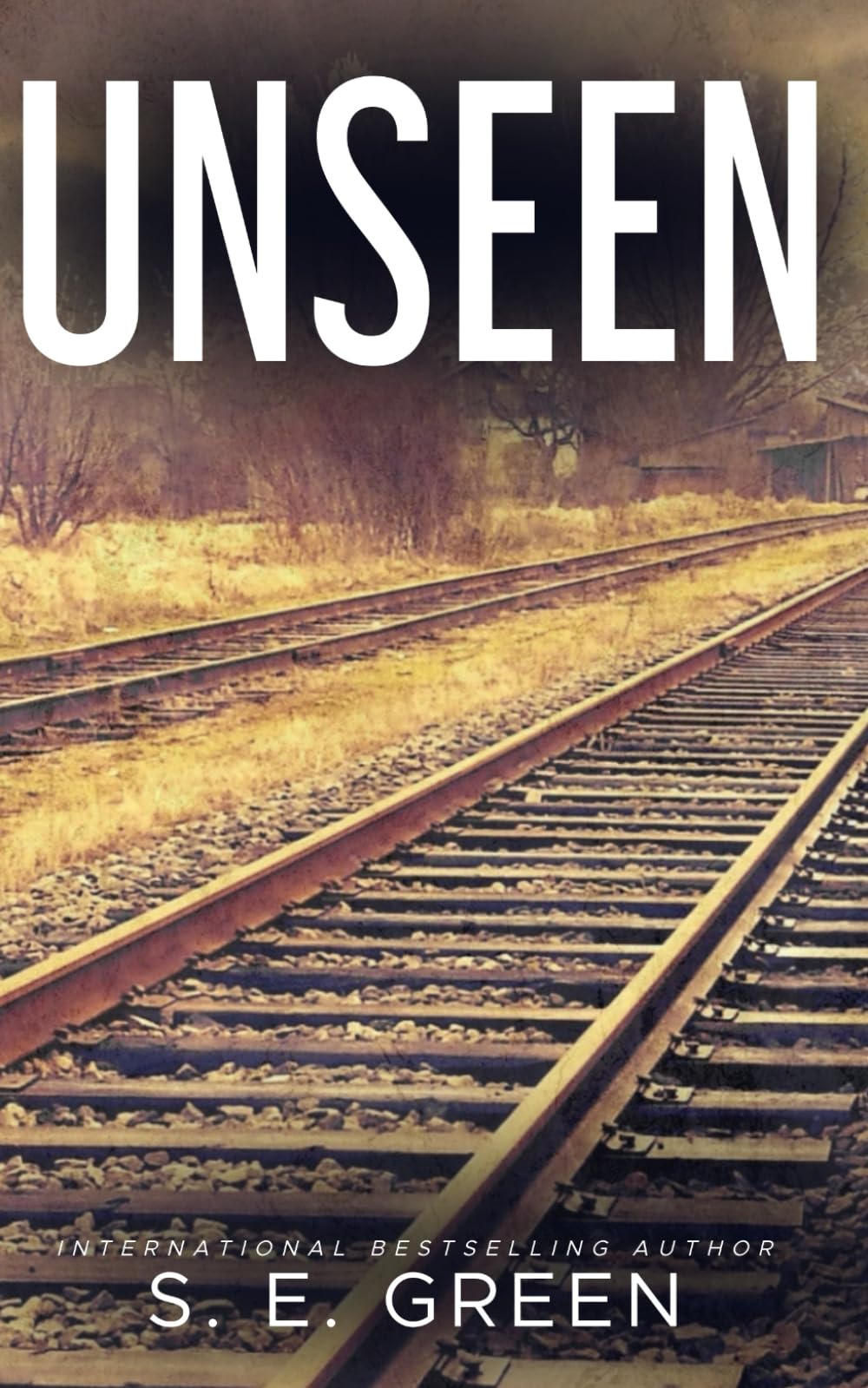 Unseen (Nell Brach)