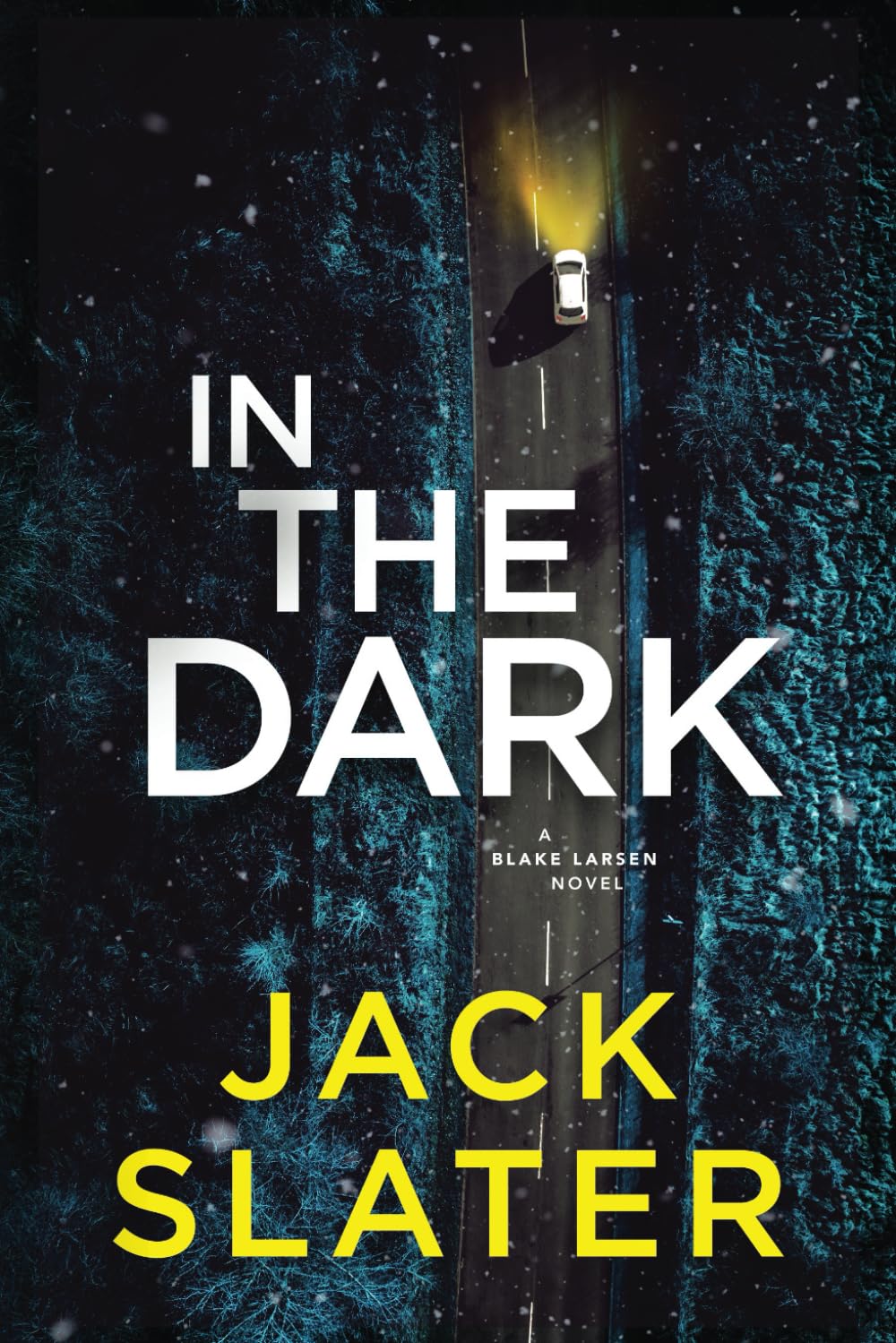 In The Dark (Blake Larsen)