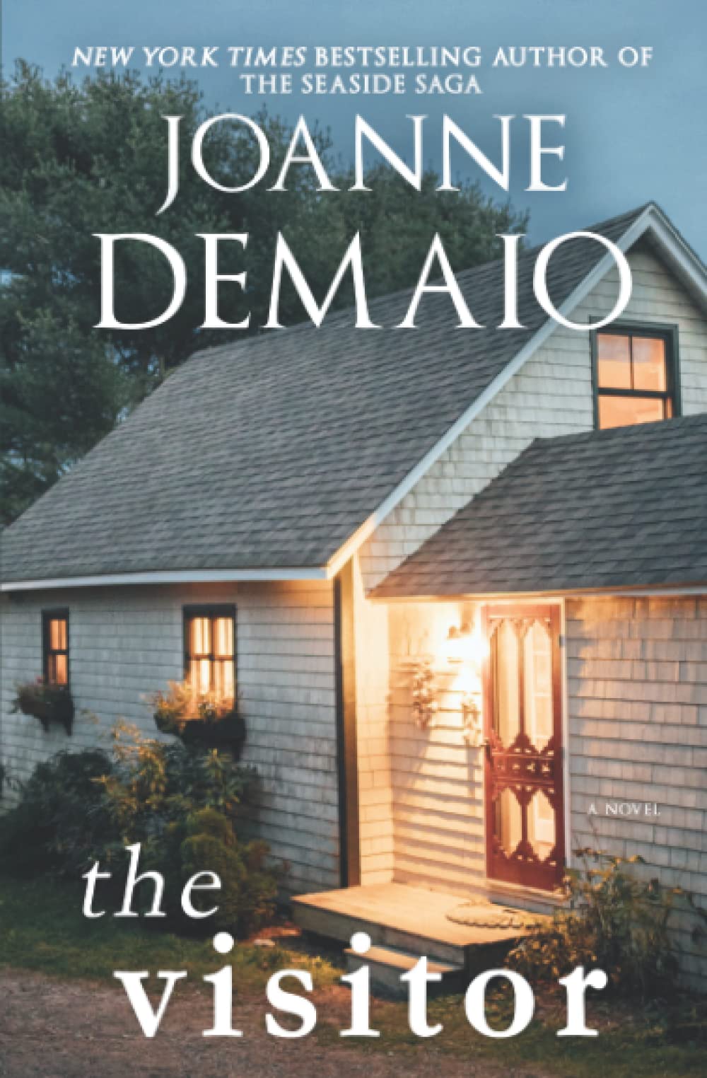 The Visitor (The Seaside Saga) - 1224