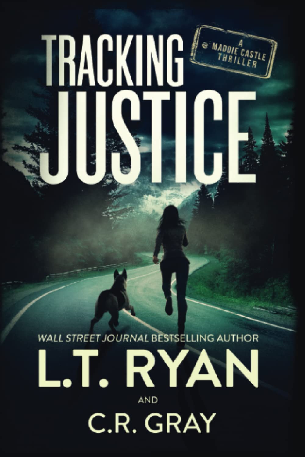 Tracking Justice (Maddie Castle)