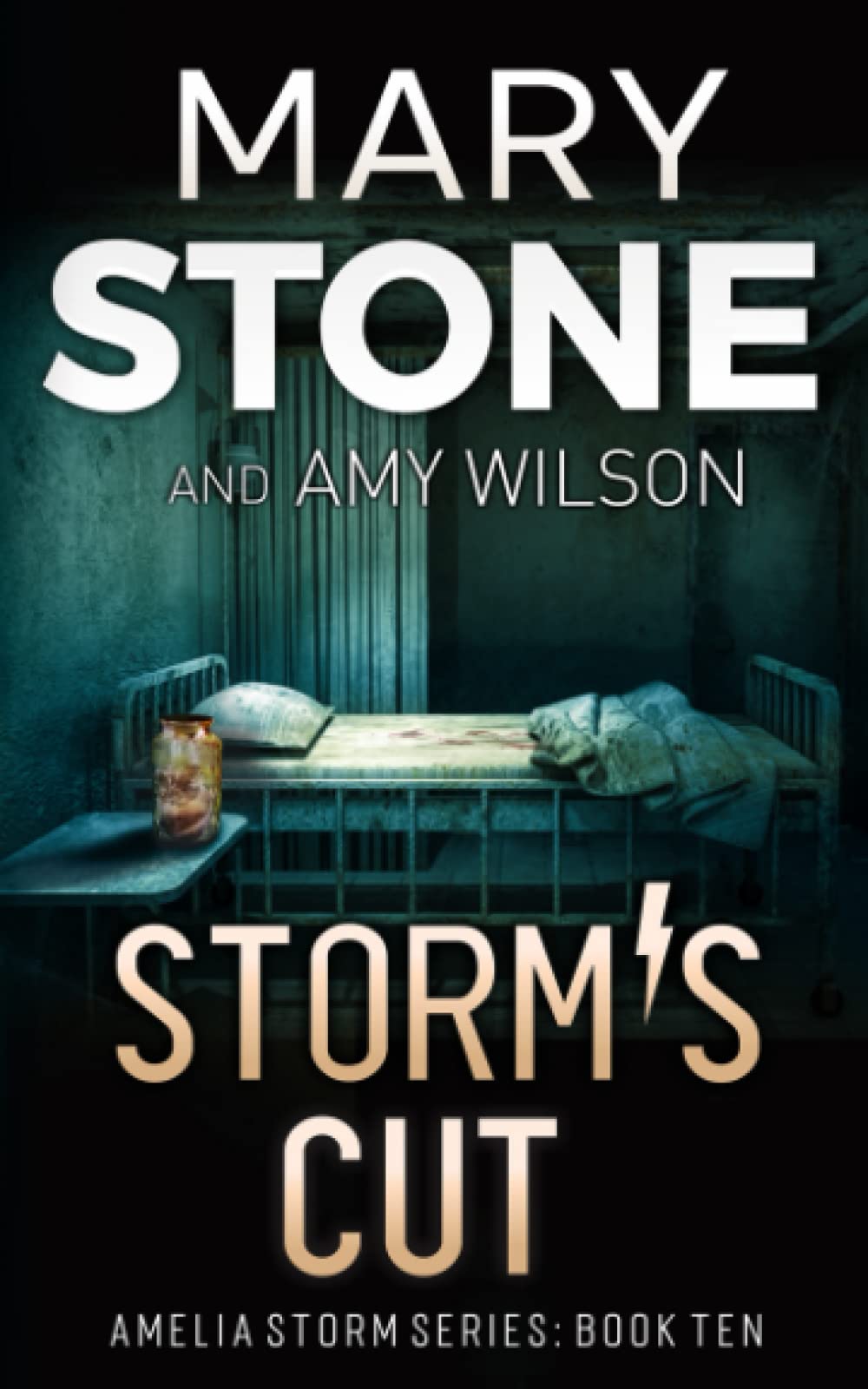 Storm's Cut (Amelia Storm FBI Mystery Series)